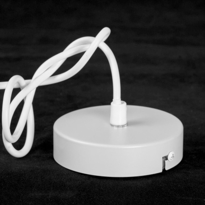 Люстра подвесная Lussole Congress LSP-8970