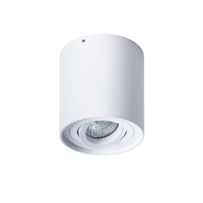 Потолочный светильник Arte Lamp Falcon A5645PL-1WH