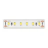Светодиодная лента ST LUCE ST1001.314.65