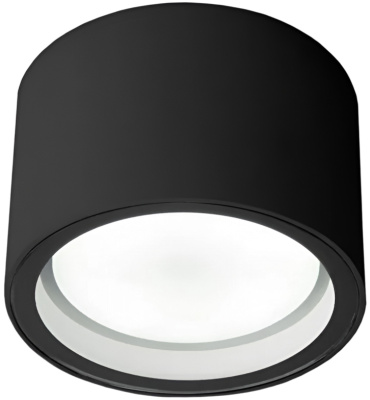 Уличный потолочный светильник Elektrostandard Light 4690389180835