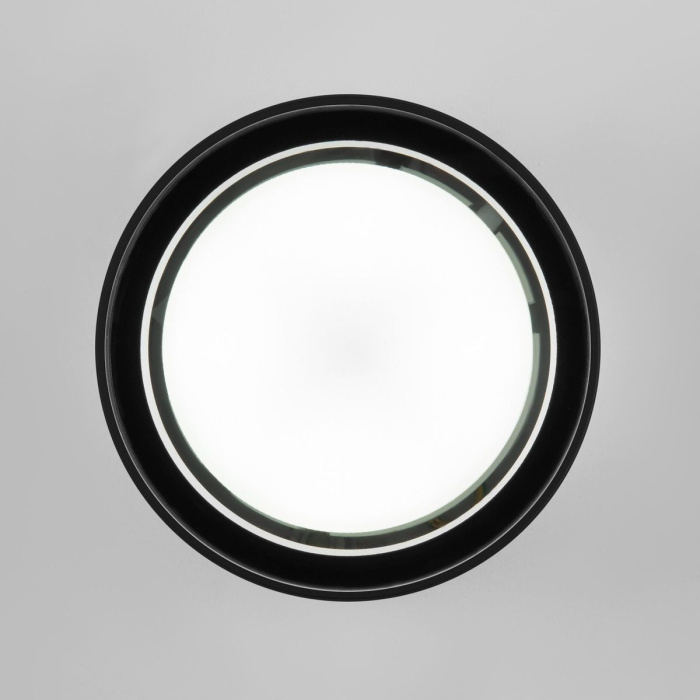 Уличный потолочный светильник Elektrostandard Light 4690389180835