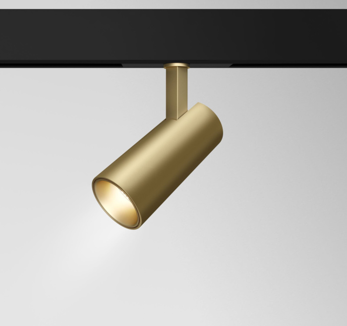 Трековый светильник Maytoni Focus LED TR019-2-15W3K-MG