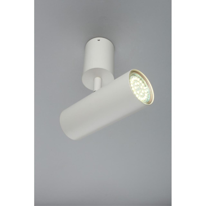 Спот Aployt Berenis APL.007.02.01