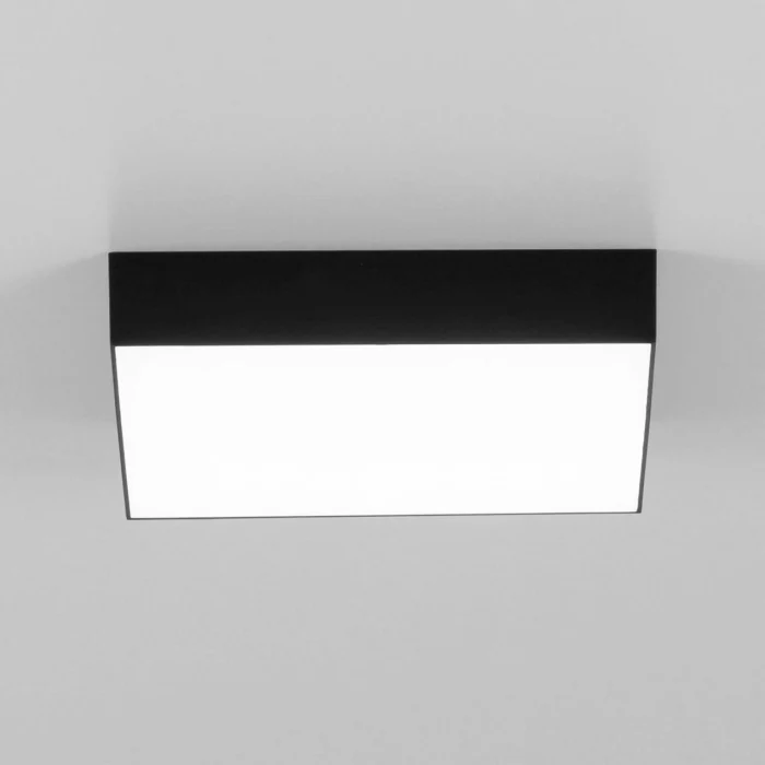 Светильник потолочный Citilux Тао CL712X242N