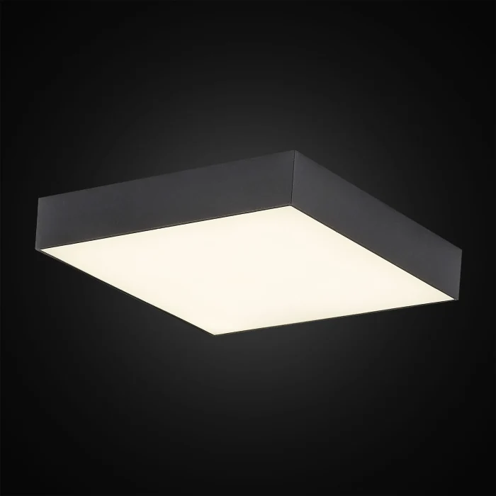 Светильник накладной Citilux Тао CL712X242N