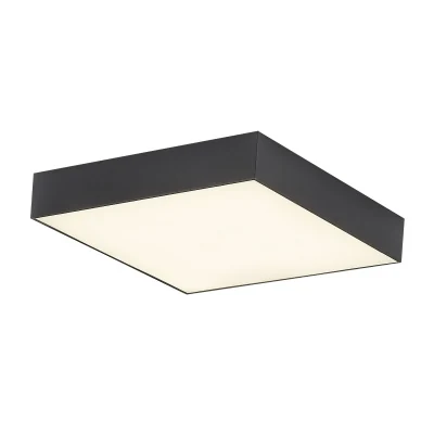 Светильник накладной Citilux Тао CL712X242N