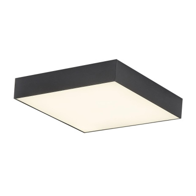 Светильник потолочный Citilux Тао CL712X242N