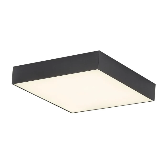 Светильник потолочный Citilux Тао CL712X242N