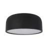 Потолочный светильник Loft it Axel 10201/350 Black