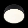 Потолочный светильник Loft it Axel 10201/350 Black