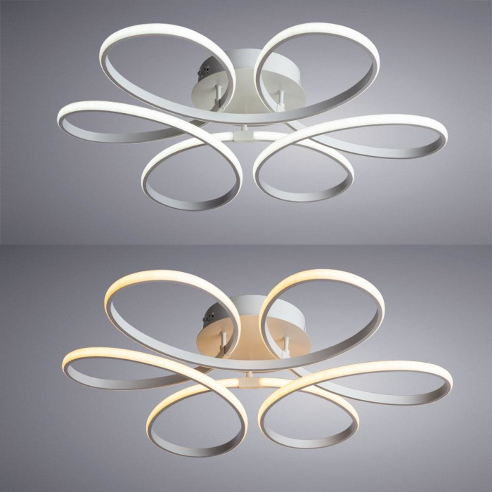 Потолочный светодиодный светильник Arte Lamp Diadema A2526PL-6WH