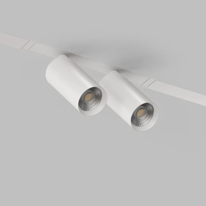 Светильник на шине Denkirs SMART SPOT DK8012-WH