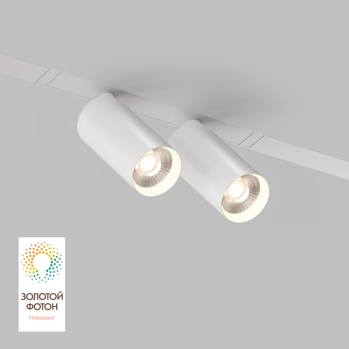 Светильник на шине Denkirs SMART SPOT DK8012-WH