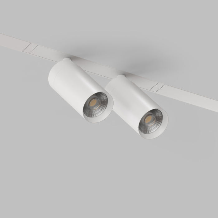 Светильник на шине Denkirs SMART SPOT DK8012-WH