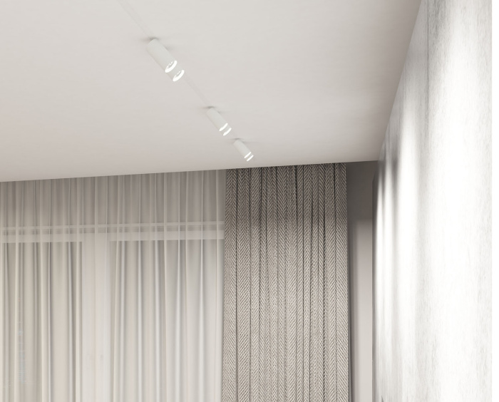 Светильник на шине Denkirs SMART SPOT DK8012-WH