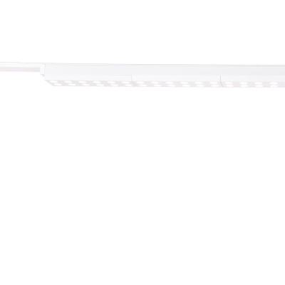 Светильник на шине Favourite 4140-2C