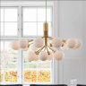 Подвесная люстра L'Arte Luce Luxury Apiales L03818