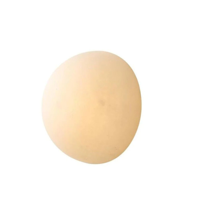 Настенный светильник L'Arte Luce Luxury Emi L29624