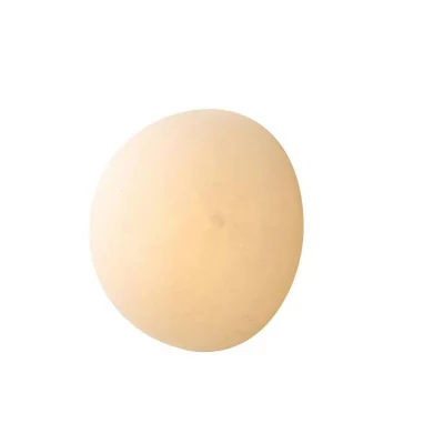 Настенный светильник L&#039;Arte Luce Luxury Emi L29624