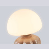 Настольная лампа HIGH LIGHT AMBRELLA LIGHT LH53247