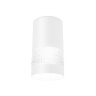 Накладной точечный светильник GU5.3 Ambrella light TN370