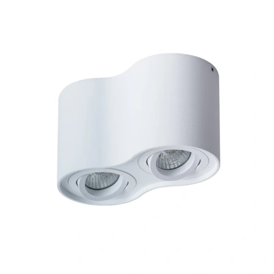 Потолочный светильник Arte Lamp Falcon A5645PL-2WH
