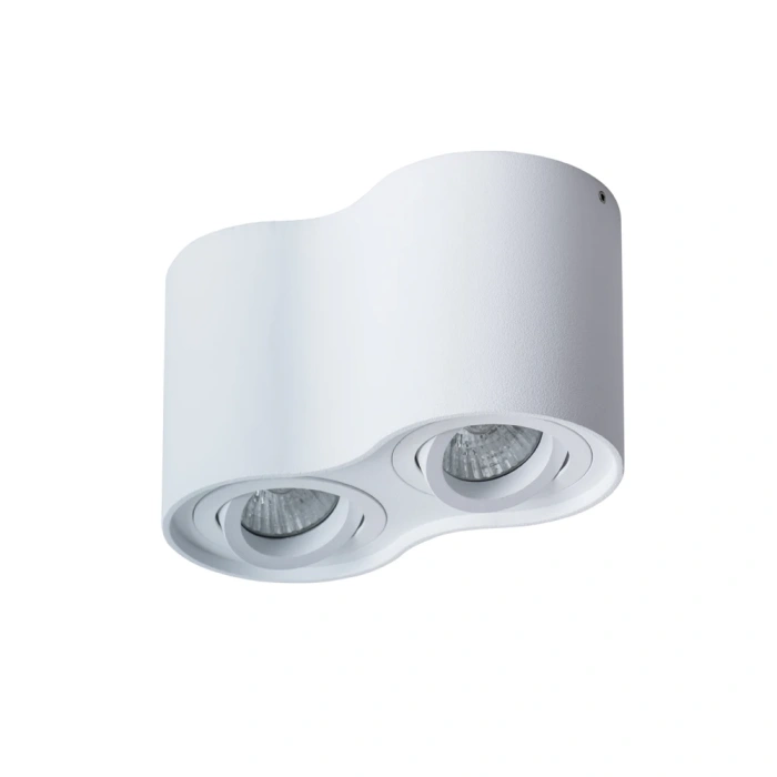Потолочный светильник Arte Lamp Falcon A5645PL-2WH