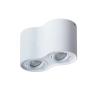 Потолочный светильник Arte Lamp Falcon A5645PL-2WH