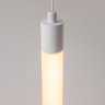 Подвесной светильник Maytoni Ray P022PL-L10W