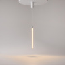 Подвесной светильник Maytoni Ray P022PL-L10W