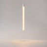 Подвесной светильник Maytoni Ray P022PL-L10W