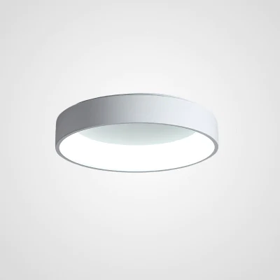 Потолочный светодиодный светильник TRAY D60 White ImperiumLoft