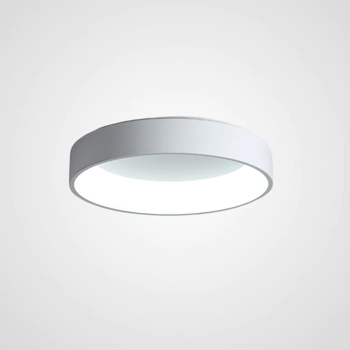 Потолочный светодиодный светильник TRAY D60 White ImperiumLoft