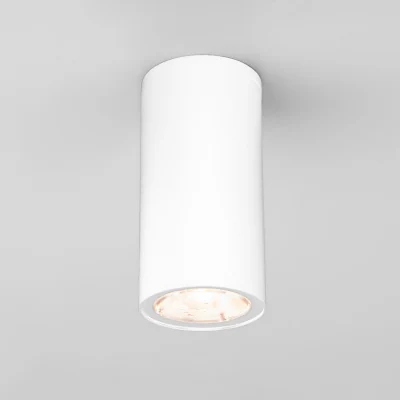 Уличный потолочный светильник Elektrostandard Light led 4690389176555