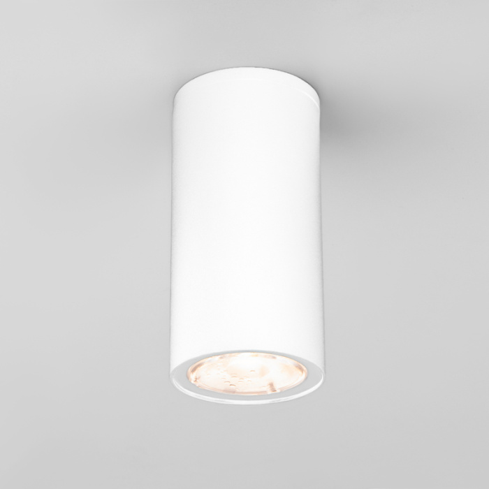 Уличный потолочный светильник Elektrostandard Light led 4690389176555
