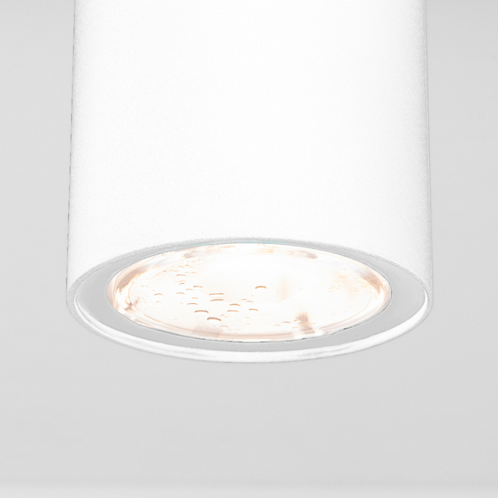 Уличный потолочный светильник Elektrostandard Light led 4690389176555
