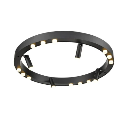 Потолочный светильник VL7172L12 Vele Luce