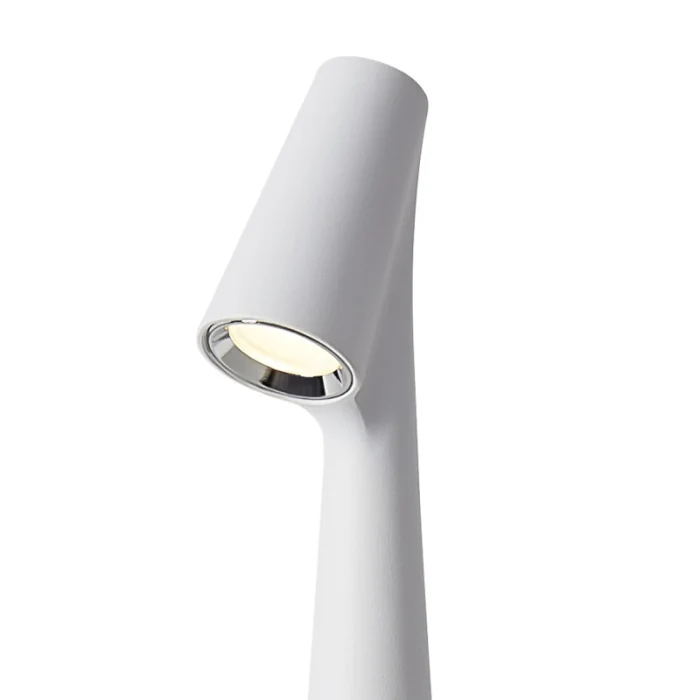 Настольная лампа Freya Clam FR6188TL-L3W