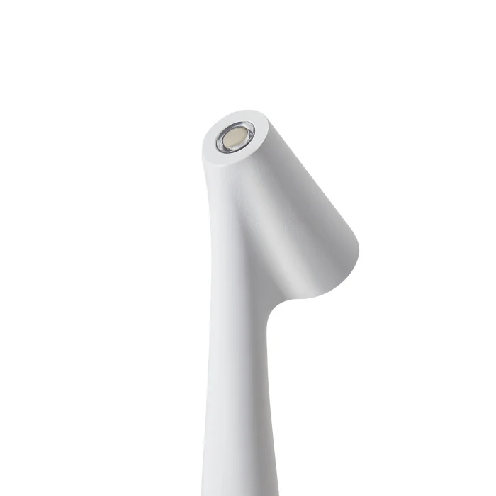 Настольная лампа Freya Clam FR6188TL-L3W