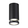Потолочный светильник Odeon Light Motto 6605/1C