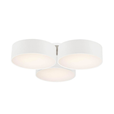 Потолочный светильник Favourite Cerchi 1515-6C