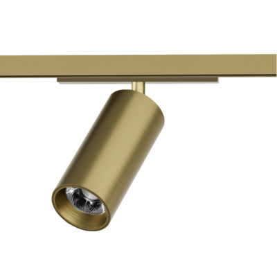 Светильник на шине Denkirs SHINE SPOT DK5741-SB
