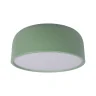 Потолочный светильник Loft it Axel 10201/350 Green