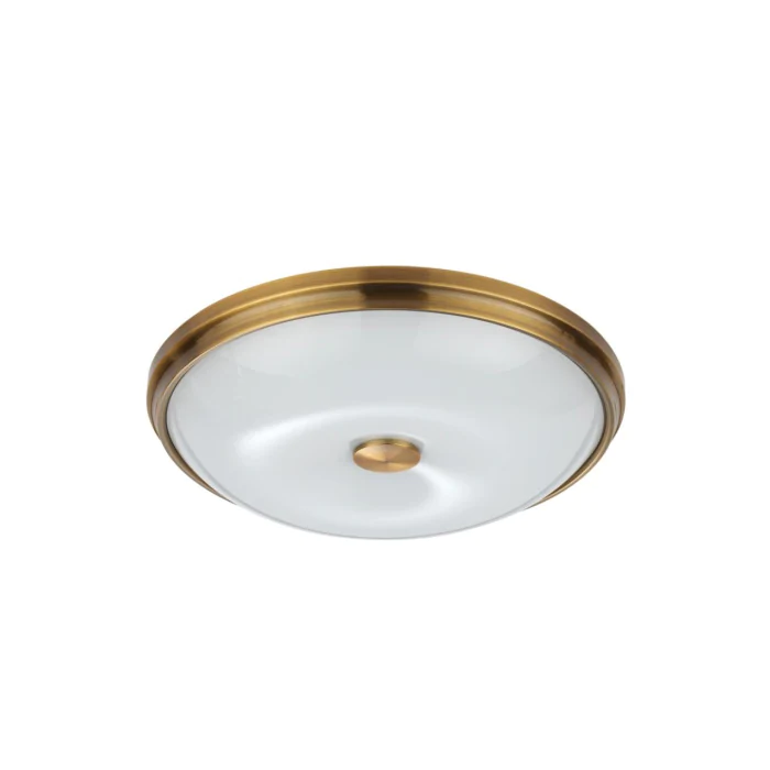 Настенно-потолочный светильник ODEON LIGHT 4956/4