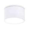 Светильник накладной IP44 с высокой степенью пылевлагозащиты Ambrella light TN6522
