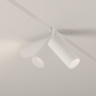 Трековый светильник Maytoni Focus LED TR032-2-12W4K-S-W