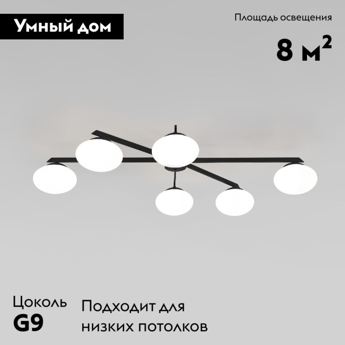 Потолочная люстра Eurosvet Opaline 70220/6 черный Smart