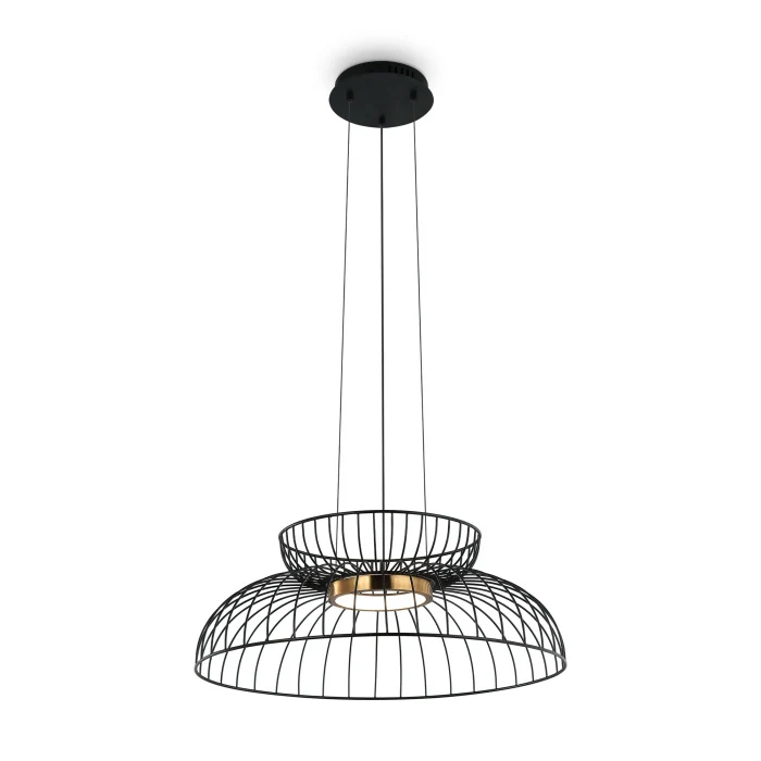 Подвесной светильник Freya Citrus FR5398PL-L6B