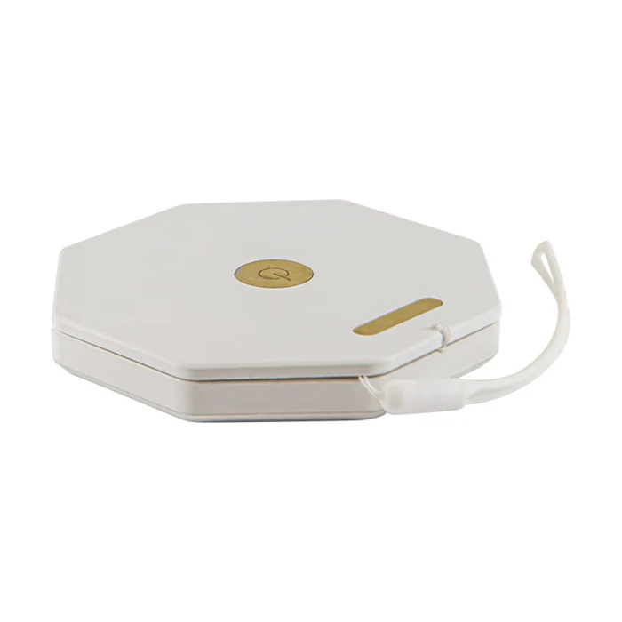 Настольная лампа Spring L’ARTE LUCE LUXURY L80230.02