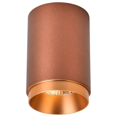 Светильник накладной Wertmark Stecken WE801.01.607+WE803.RG.400